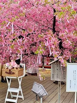 Amazon.co.jp: 桜神宮 交通安全 御守護 お守り : ホーム＆キッチン